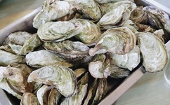 付晓田被抓了吗最新消息